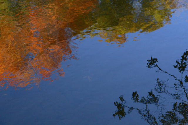 Riverton Trolley Park, Portland, Maine (2008)