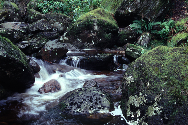 Snaid Burn, Inversnaid, Scotland (2004)